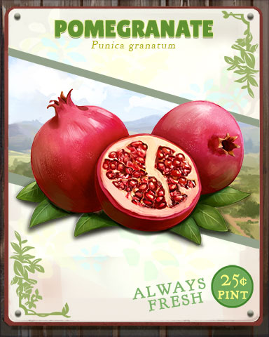 Pomegranate Produce Badge - Jewel Academy