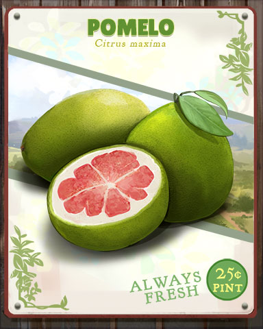 Pomelo Produce Badge - Claire Hart: Secret In The Shadows