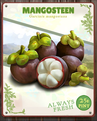 Mangosteen Produce Badge - Jungle Gin HD