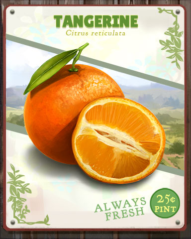 Tangerine Produce Badge - Solitaire Blitz