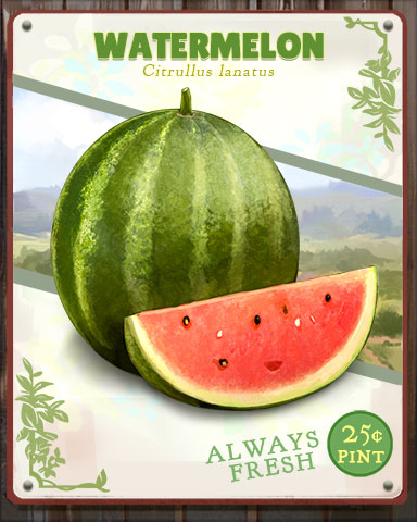 Watermelon Produce Badge - Jigsaw Treasure Hunter HD