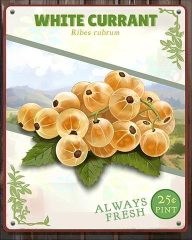 White Currant Produce Badge - Snowbird Solitaire