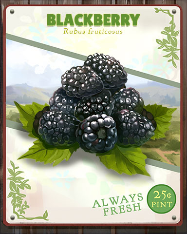 Blackberry Produce Badge - Trizzle