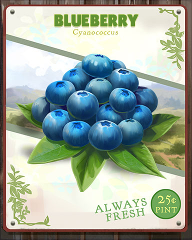 Blueberry Produce Badge - World Class Solitaire HD