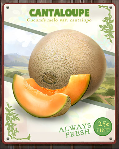 Cantaloupe Produce Badge - StoryQuest