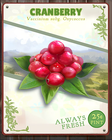 Cranberry Produce Badge - Jet Set Solitaire