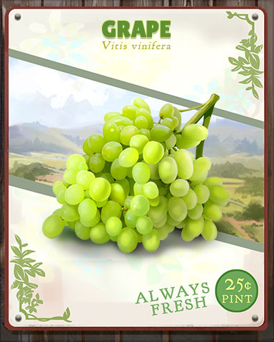 Grape Produce Badge - Pogo™ Daily Sudoku