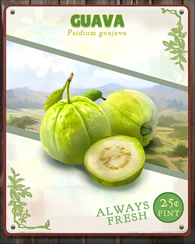 Guava Produce Badge - Tri-Peaks Solitaire HD