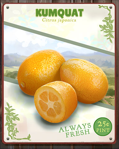 Kumquat Produce Badge - Word Search Daily HD