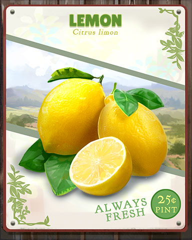 Lemon Produce Badge - Aces Up! HD