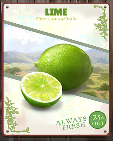 Lime Produce Badge - Canasta HD