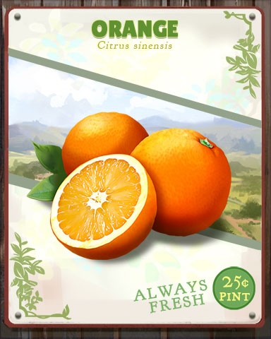 Orange Produce Badge - Cookie Connect