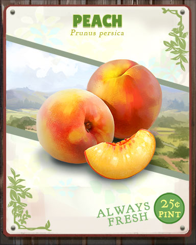 Peach Produce Badge - Canasta HD