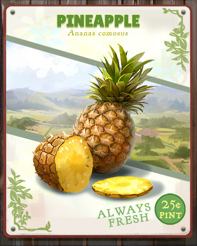 Pineapple Produce Badge - Payday Freecell HD