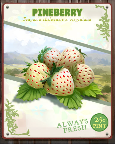 Pineberry Produce Badge - Pogo Daily Sudoku