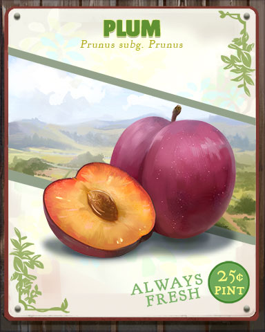 Plum Produce Badge - Pogo™ Addiction Solitaire HD