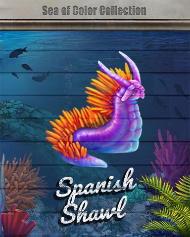 Spanish Shawl Sea Of Color Badge - Jungle Gin HD