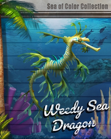 Weedy Sea Dragon Sea Of Color Badge - World Class Solitaire HD