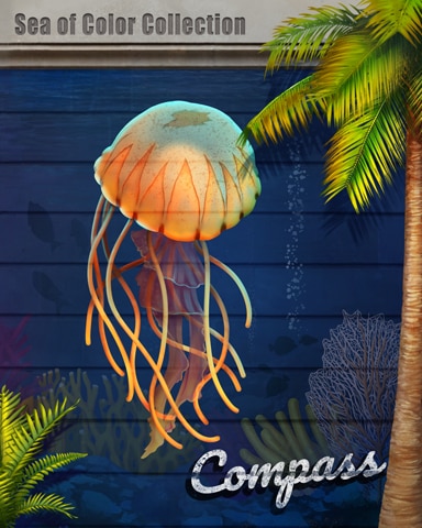 Compass Jellyfish Sea Of Color Badge - First Class Solitaire HD