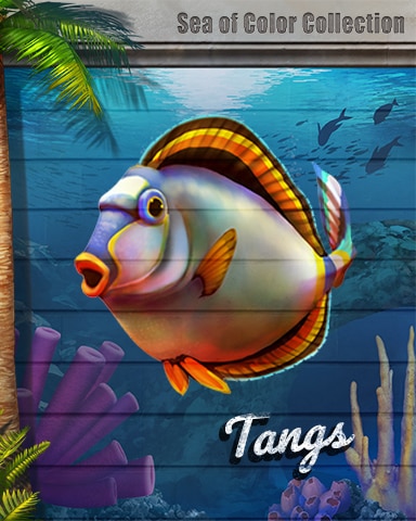 Tangs Sea Of Color Badge - World Class Solitaire HD