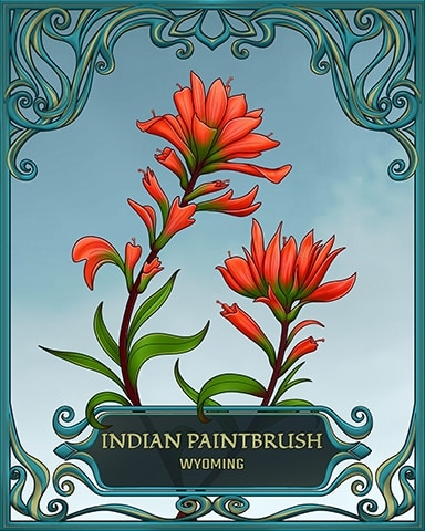 Wyoming State Flowers Badge - Jungle Gin HD Wyoming State Flowers Badge - Jungle Gin HD