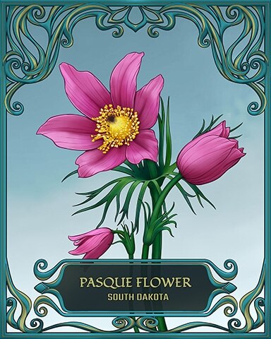South Dakota State Flowers Badge - First Class Solitaire HD South Dakota State Flowers Badge - First Class Solitaire HD