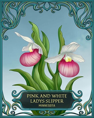 Minnesota State Flowers Badge - World Class Solitaire HD Minnesota State Flowers Badge - World Class Solitaire HD