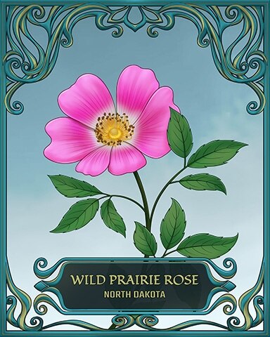 North Dakota State Flowers Badge - Spades HD North Dakota State Flowers Badge - Spades HD
