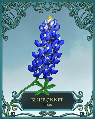 Texas State Flowers Badge - Word Whomp HD Texas State Flowers Badge - Word Whomp HD