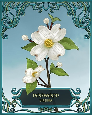 Virginia State Flowers Badge - Thousand Island Solitaire HD