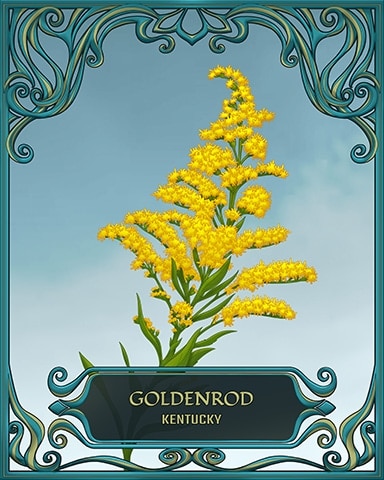Kentucky State Flowers Badge - Aces Up! HD