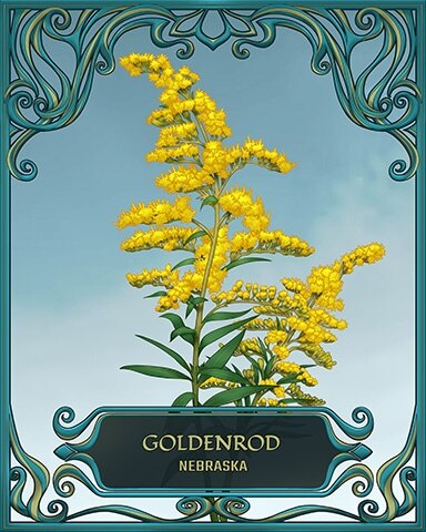 Nebraska State Flowers Badge - Mahjong Safari HD Nebraska State Flowers Badge - Mahjong Safari HD