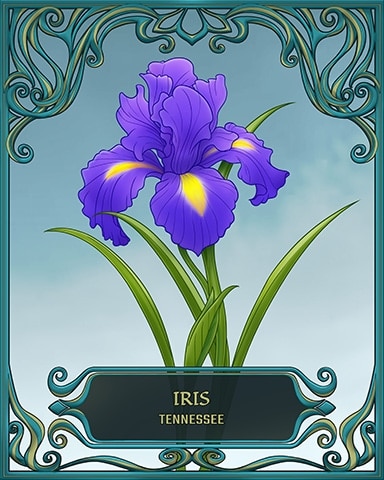 Tennessee State Flowers Badge - Rainy Day Spider Solitaire HD Tennessee State Flowers Badge - Rainy Day Spider Solitaire HD