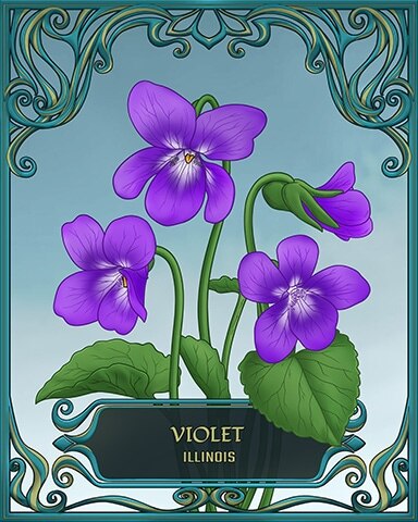 Illinois State Flowers Badge - Canasta HD Illinois State Flowers Badge - Canasta HD
