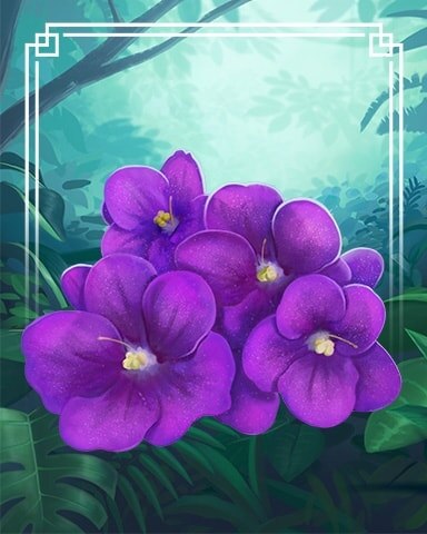 African Violet Tropical Flowers Badge - Quinn's Aquarium