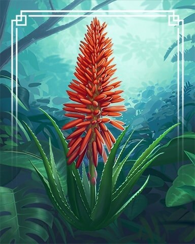 Aloe Vera Tropical Flowers Badge - Thousand Island Solitaire HD