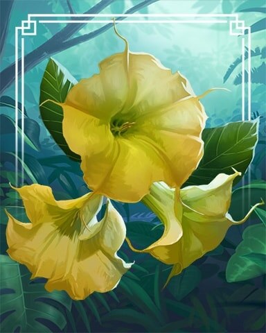 Angel's Trumpet Tropical Flowers Badge - Canasta HD