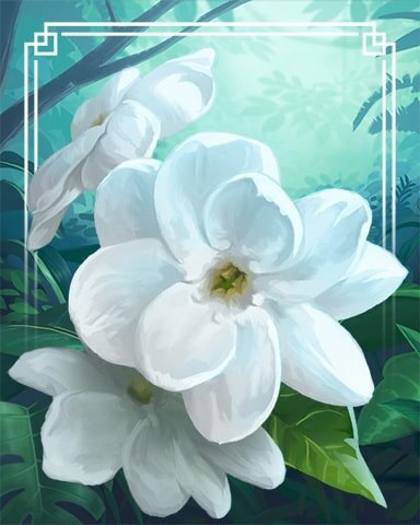 Arabian Jasmine Tropical Flowers Badge - First Class Solitaire HD