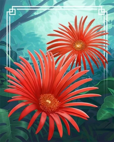 Barberton Daisy Tropical Flowers Badge - Spades HD