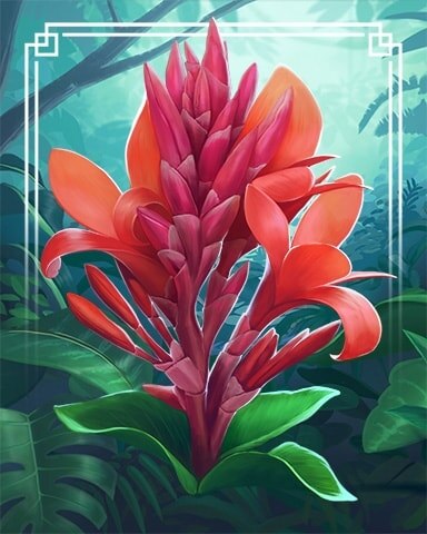 Canna Lily Tropical Flowers Badge - World Class Solitaire HD