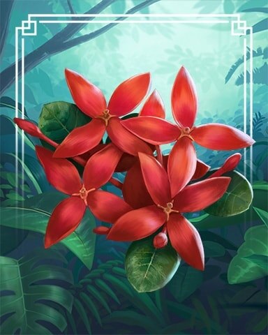 Flame Of The Woods Tropical Flowers Badge - First Class Solitaire HD