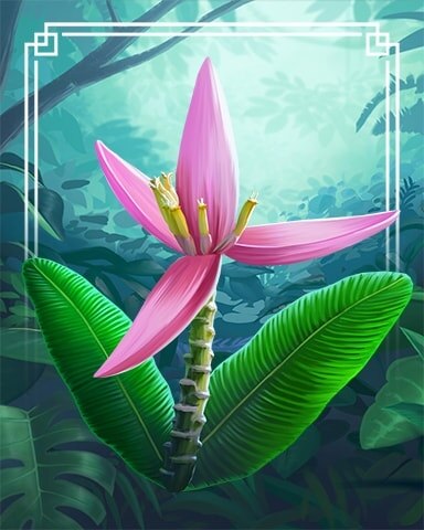 Flowering Banana Tropical Flowers Badge - Jungle Gin HD