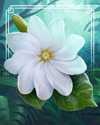 Forest Gardenia Tropical Flowers Badge - Jungle Gin HD