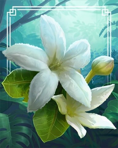 Molokai Ohaha Tropical Flowers Badge - World Class Solitaire HD