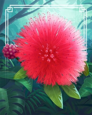 Powder Puff Tropical Flowers Badge - Jigsaw Treasure Hunter HD