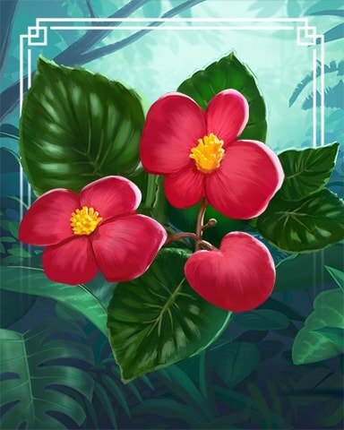 Begonias Tropical Flowers Badge - Canasta HD