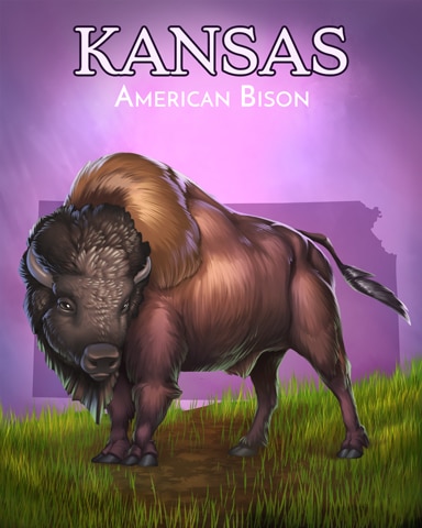 Kansas American Bison Wild America Badge - StoryQuest