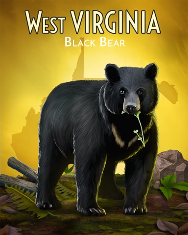 West Virginia Black Bear Wild America Badge - Mahjong Safari HD