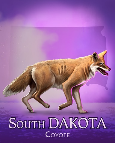 Coyote Wild America Badge - Word Search Daily HD