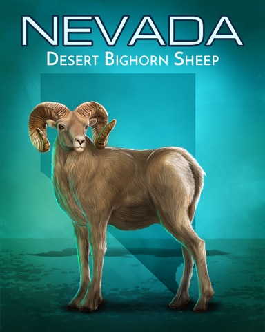 Desert Bighorn Sheep Wild America Badge - First Class Solitaire HD